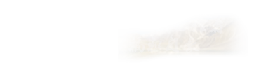 在职研究生专业