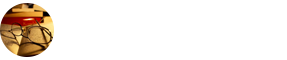 专业介绍在职研究生