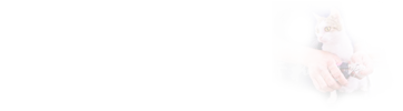 在职研究生专业