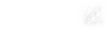 哲学