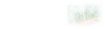 作物学